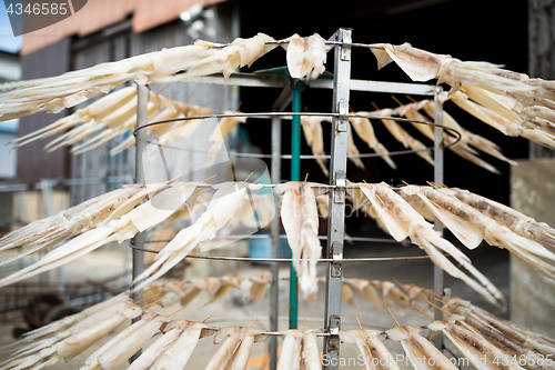 Image of Hanging of squid at outdoor