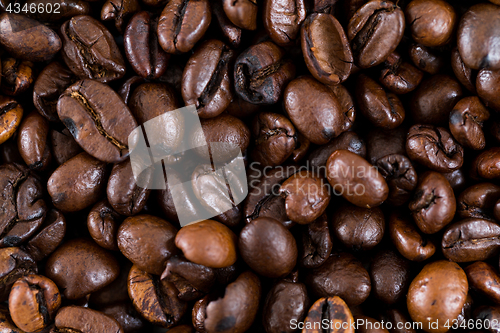Image of Roasted Coffee bean 