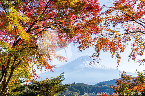 Image of Mount Fuji in Autumn of Japan