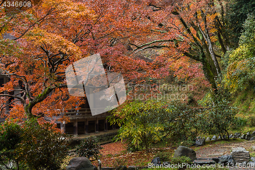 Image of Traditional Japanese garden