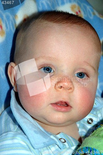 Image of Baby Boy Portrait
