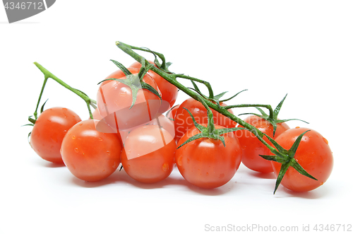 Image of Red cherry tomato