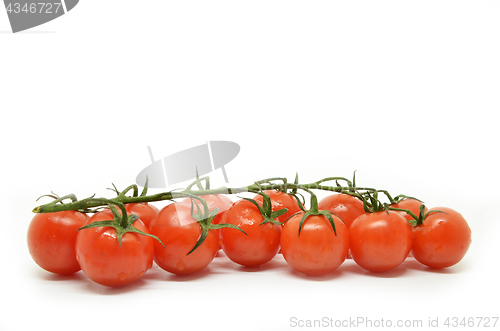 Image of Red cherry tomato