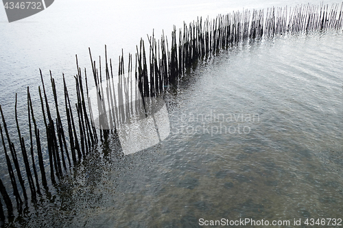 Image of Bamboo wall in the sea