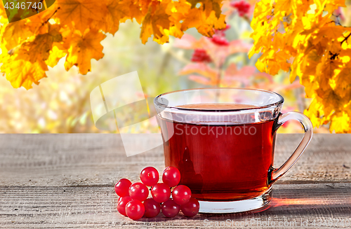 Image of Cup of black tea with viburnum berries