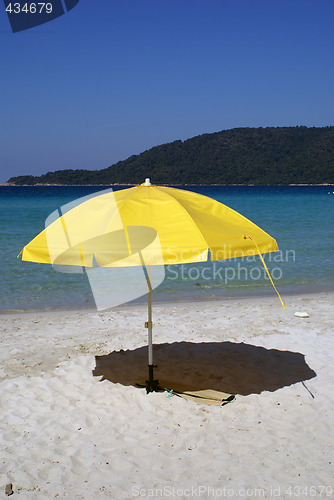 Image of Umbrella