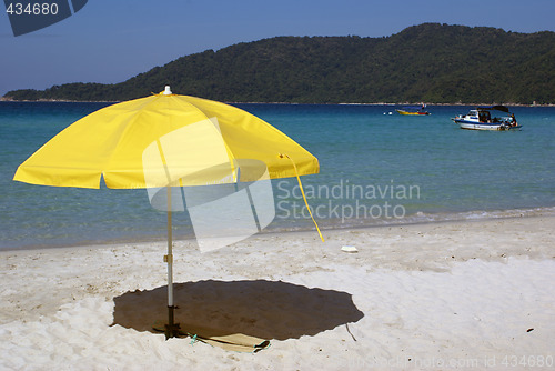 Image of Umbrella