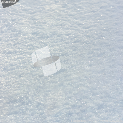 Image of Snow Texture Background