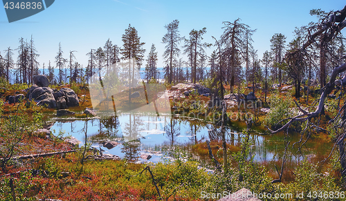 Image of Small Swamp On Top Of Mount