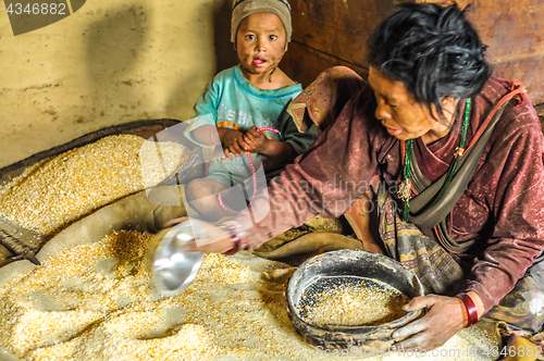 Image of Grains of corn in Nepal