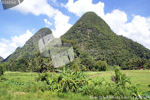 Image of Hill