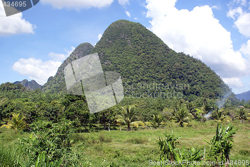 Image of Trees and hill