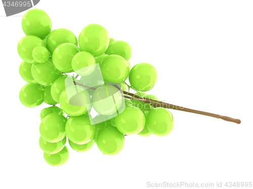 Image of Healthy fruits Green wine grapes isolated white background. Bunc