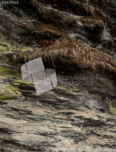 Image of Rocks and stones texture or pattern with moss