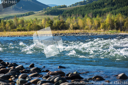 Image of Fast mountain river Charish in Altay