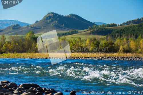 Image of Fast mountain river Charish in Altay