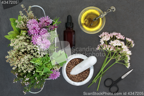 Image of Natural Herbal Medicine Preparation