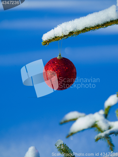 Image of christmas tree ball decoration