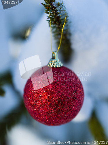 Image of christmas tree ball decoration