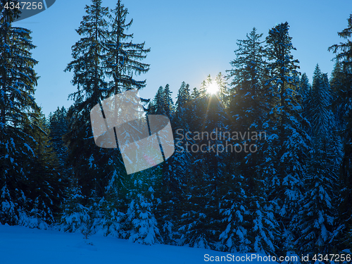 Image of winter landscape