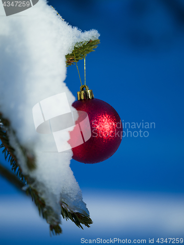 Image of christmas tree ball decoration