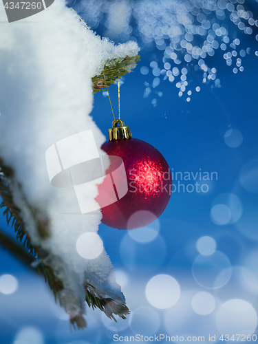 Image of christmas tree ball decoration