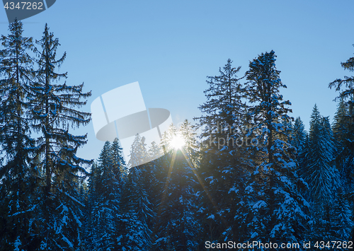 Image of winter landscape