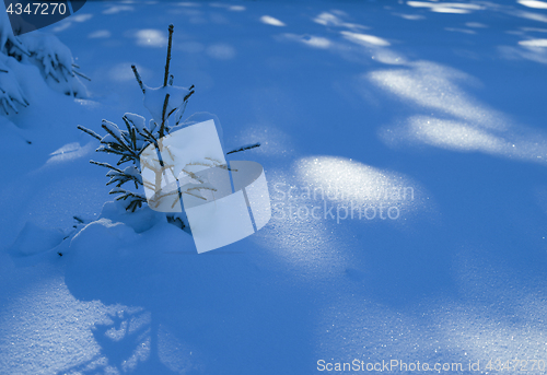 Image of winter landscape