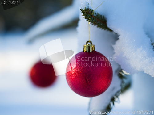 Image of christmas tree ball decoration