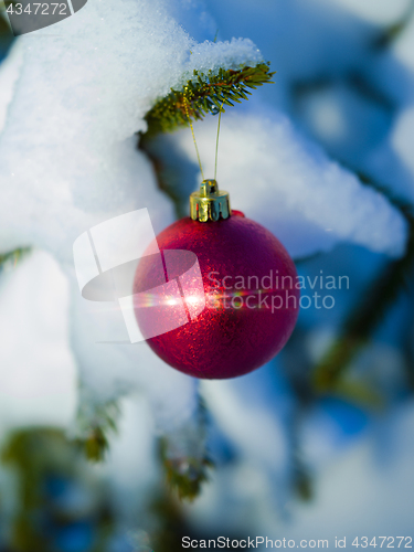 Image of christmas tree ball decoration