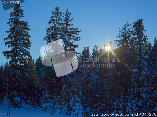 Image of winter landscape