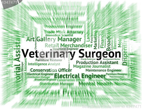 Image of Veterinary Surgeon Means Veterinarian Text And Words