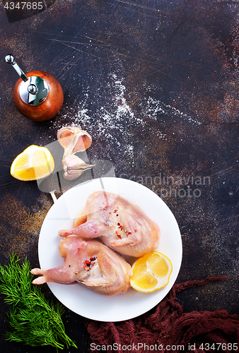 Image of raw quail 