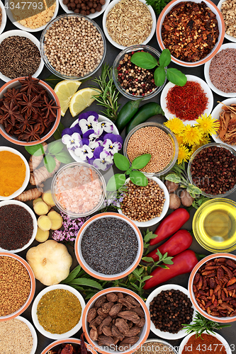 Image of Herb Spice and Edible Flower Selection