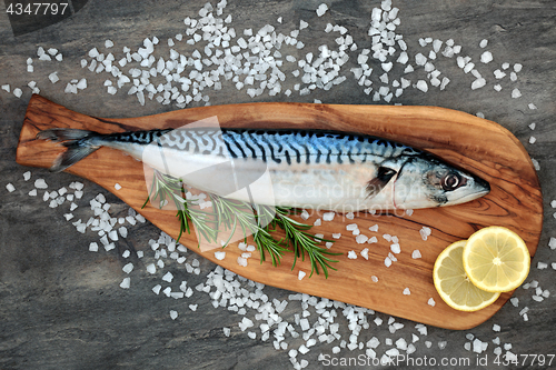 Image of Mackerel Fish for Healthy Eating