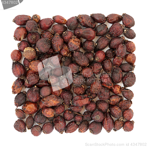 Image of Rose Hip Herbal Medicine