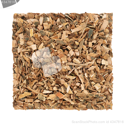 Image of Black Haw Herb