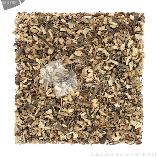 Image of Echinacea Root Herb