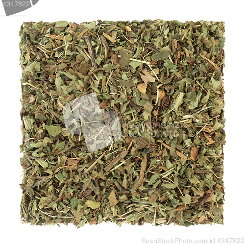 Image of Lungwort Leaf Herb