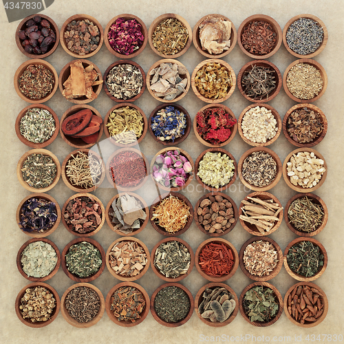 Image of Herbs for Herbal Medicine