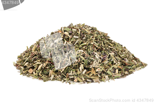 Image of Wood Betony Herb