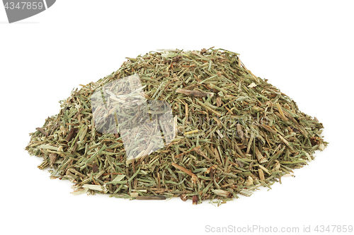 Image of Horsetail Leaf Herb