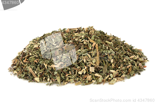 Image of Yellow Dead Nettle Herb