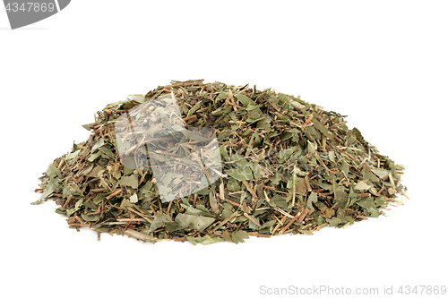 Image of Periwinkle Leaf Herb