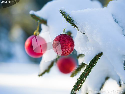 Image of christmas tree ball decoration