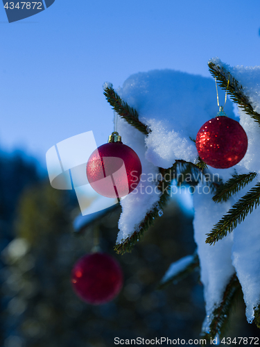 Image of christmas tree ball decoration