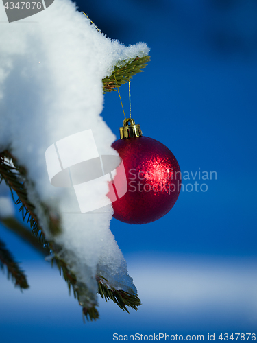 Image of christmas tree ball decoration