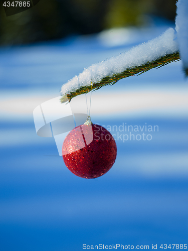 Image of christmas tree ball decoration