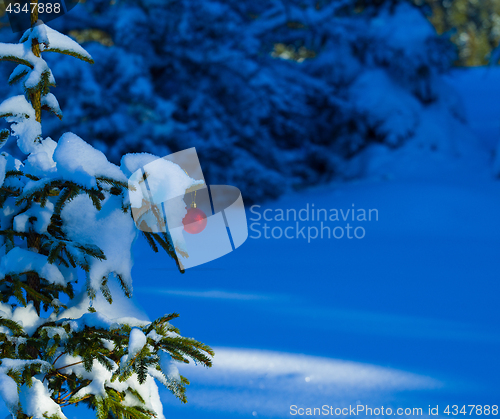 Image of christmas tree ball decoration