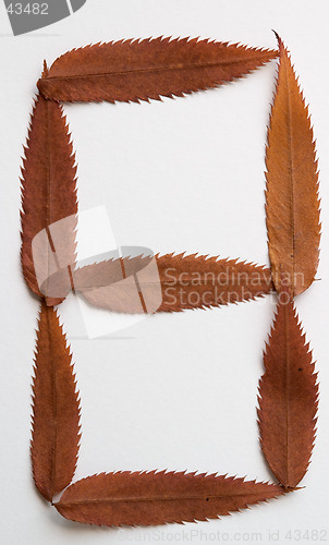 Image of 8 eight number: alphabet and numbers with autumn brown red dry leaf on white background